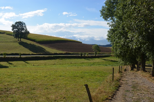 Foto do arquivo: fornecida por 【slotum】