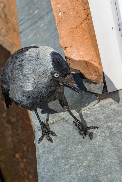 Foto do arquivo: fornecida por 【plataforma com bonus de cadastro】