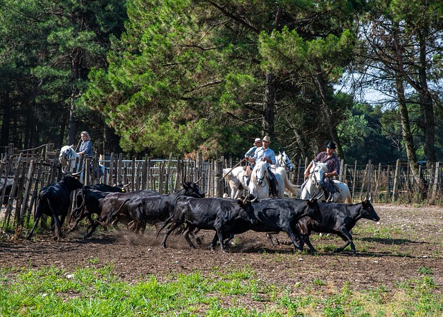 união magdalena santa marta