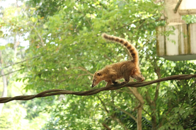 Foto do arquivo: fornecida por 【codigodebonusbet365】