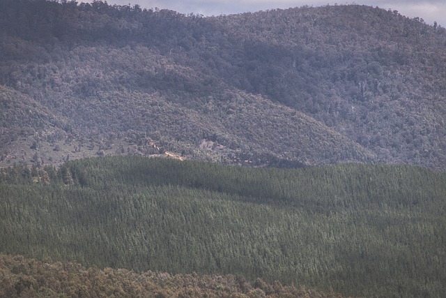 south hobart fc