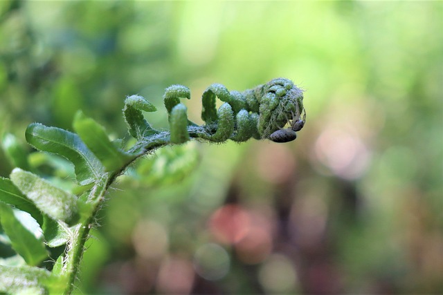 Foto do arquivo: fornecida por 【Empréstimo direto de 300 reais no pix】