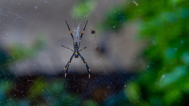 Foto do arquivo: fornecida por 【resultado da mega sena conc 2136】