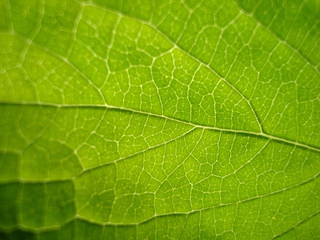 Foto do arquivo: fornecida por 【cartela de bingo silabico】