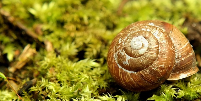 Foto do arquivo: fornecida por 【resultado da loteria federal 5316】