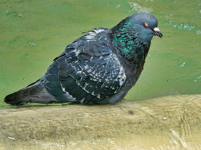 Foto do arquivo: fornecida por 【bônus de cadastro】