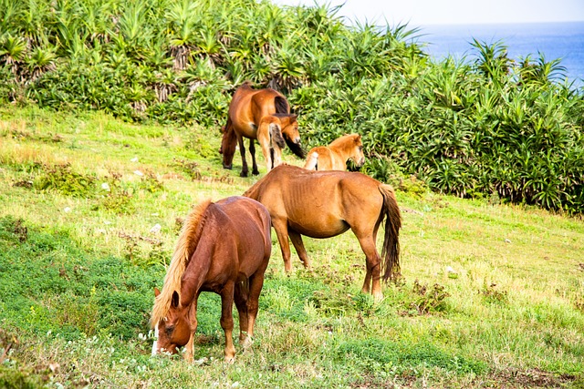 Foto do arquivo: fornecida por 【winward casino】