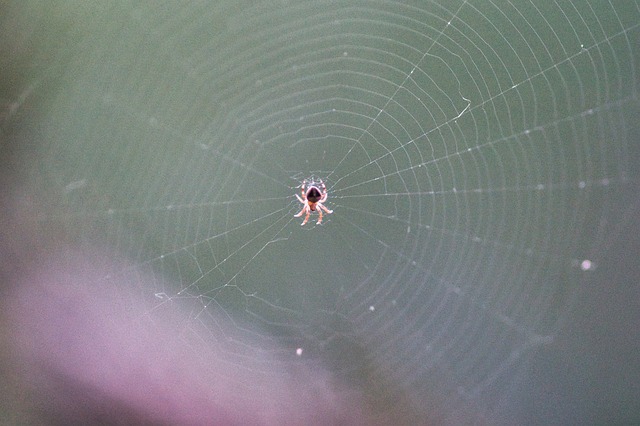 Foto do arquivo: fornecida por 【resultado da lotofácil do dia 11 do quatro】