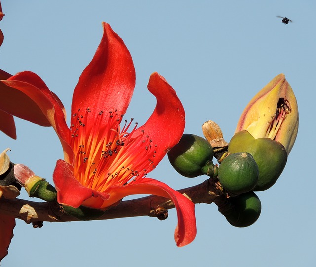 Foto do arquivo: fornecida por 【rtp pg】