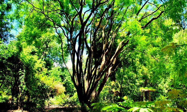 Foto do arquivo: fornecida por 【Dinheiro louco para fora】