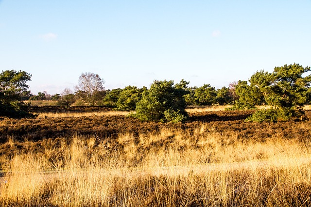 Foto do arquivo: fornecida por 【aztec slot pg】