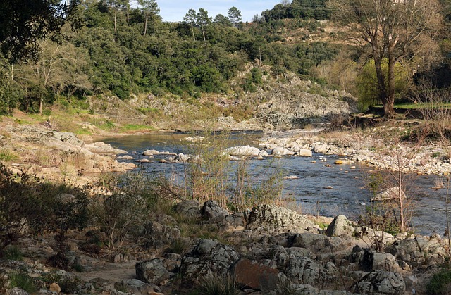 Foto do arquivo: fornecida por 【jogo do bicho da aval de pernambuco,resultado 】