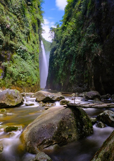 Foto do arquivo: fornecida por 【aposta de 1 real】