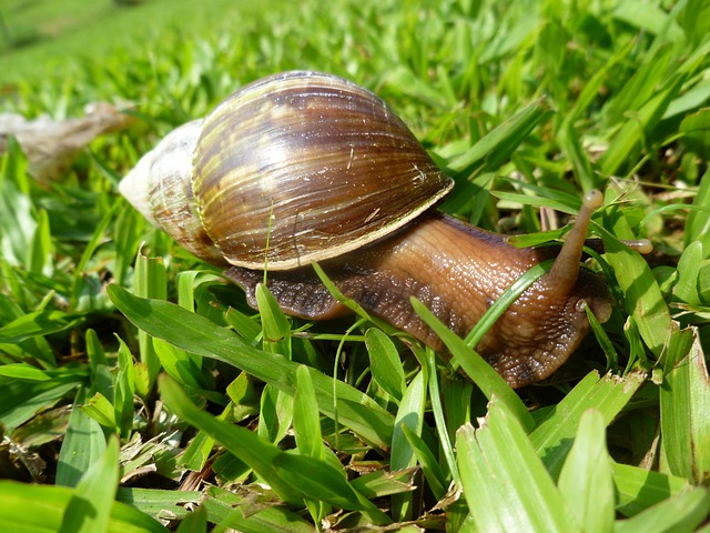 Foto do arquivo: fornecida por 【Sistema para gerar lucros】