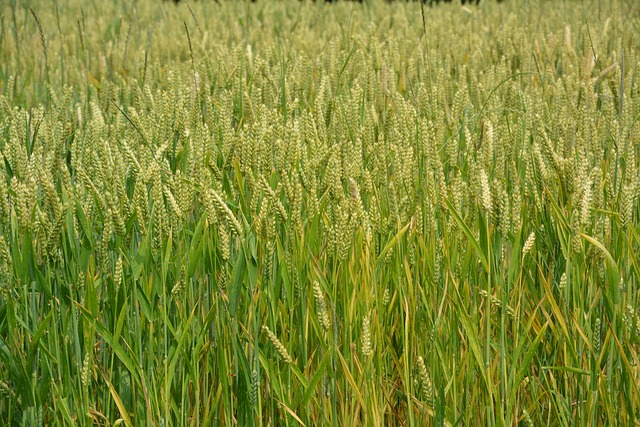 Foto do arquivo: fornecida por 【estatistica loteria federal】