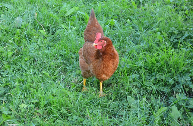 Foto do arquivo: fornecida por 【gerador de combinaçoes mega sena】