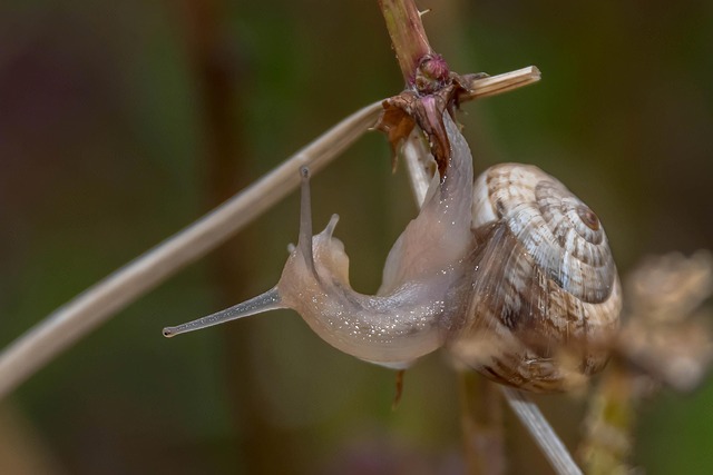 Foto do arquivo: fornecida por 【resultado da mega sena da virada 2440】