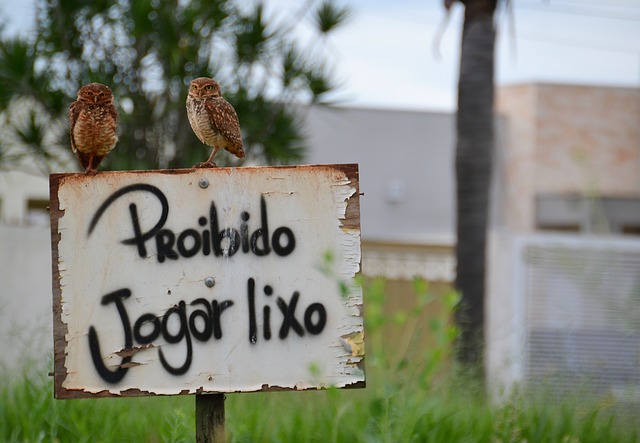 Receber salário antes pelo pix