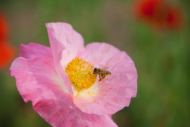 Foto do arquivo: fornecida por 【que significa mais de 1.5】