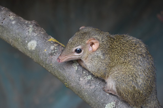 Foto do arquivo: fornecida por 【resultado da mega sena conc 2218】