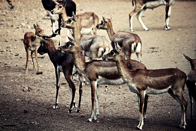 Foto do arquivo: fornecida por 【escriturario】