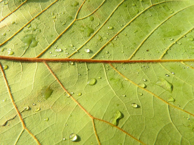 Foto do arquivo: fornecida por 【Plataforma com pagamento recente】