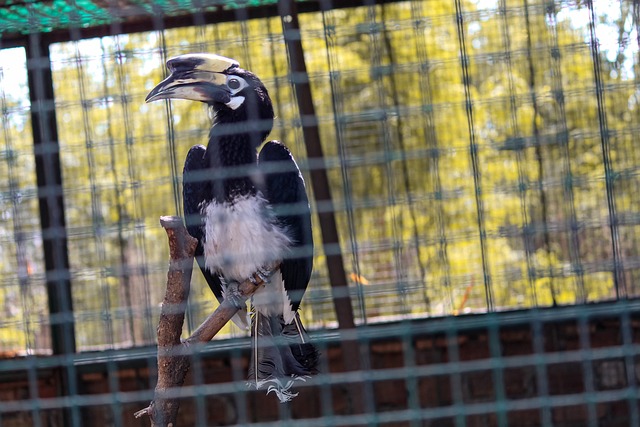 cassino com bônus grátis no cadastro