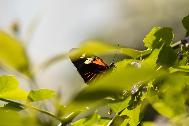 Foto do arquivo: fornecida por 【resultado da mega sena do dia 24】