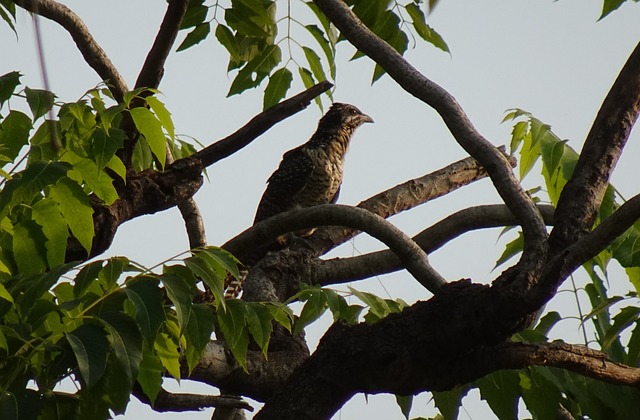 Foto do arquivo: fornecida por 【resultado da lotofácil 76】