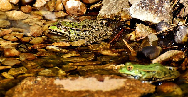 Foto do arquivo: fornecida por 【Resultado do bicho dessa rodada】