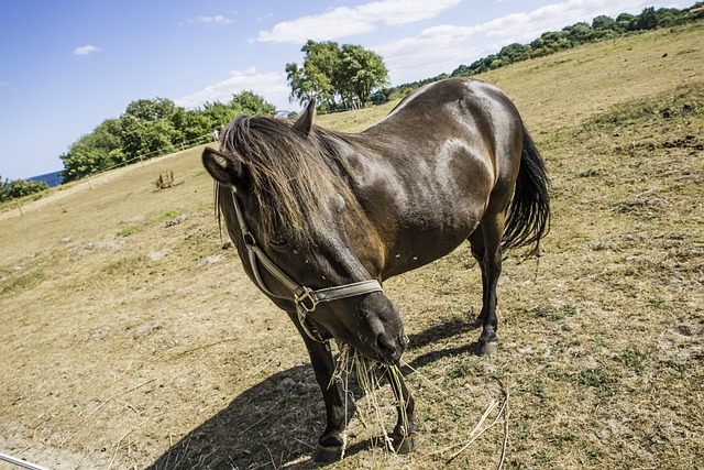 Foto do arquivo: fornecida por 【bet365 desktop site】