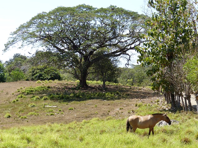 Foto do arquivo: fornecida por 【resultado jogo do bicho da loteria】