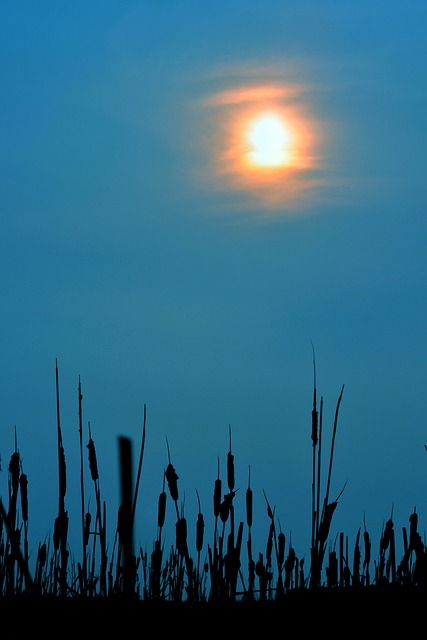 Foto do arquivo: fornecida por 【ok google resultado do jogo do bicho da pt】