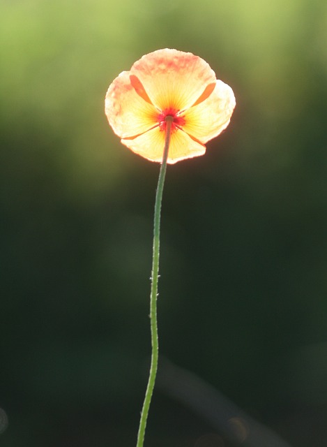 bicho atrasado lotep、bicho mais atrasado na lotep