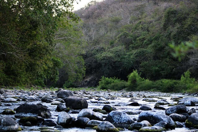 jogos de bricar