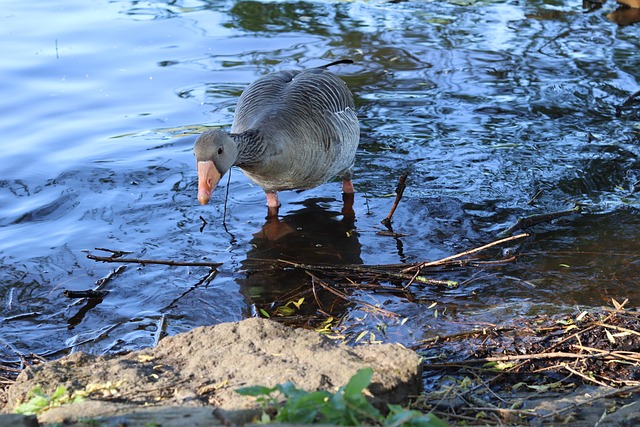 Foto do arquivo: fornecida por 【resultado da lotofácil dia 14 de julho】