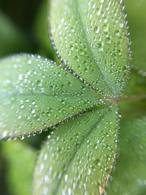 Foto do arquivo: fornecida por 【irish luck casino】