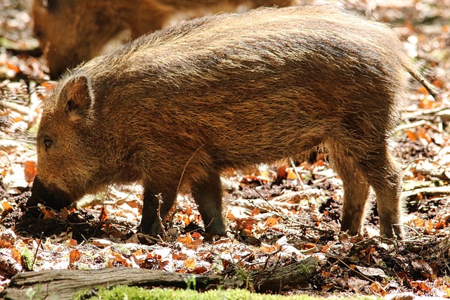 Foto do arquivo: fornecida por 【quanto a quina vai pagar hoje】