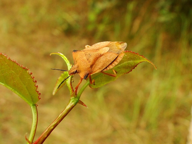 Foto do arquivo: fornecida por 【cassino sem dinheiro】