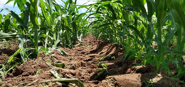 Foto do arquivo: fornecida por 【espátula de quina para massa corrida】