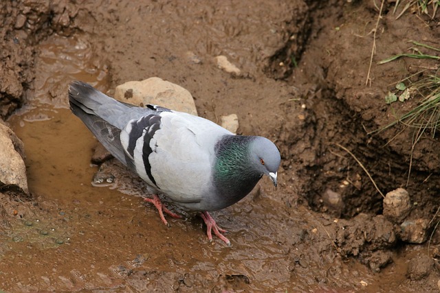 Foto do arquivo: fornecida por 【kbet】