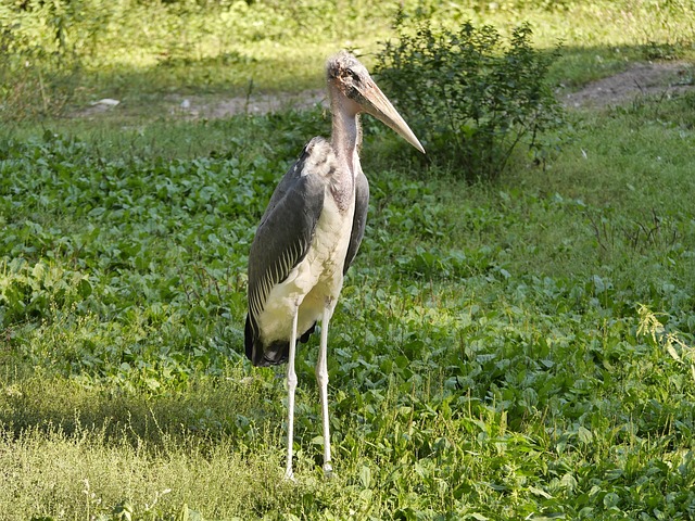 Foto do arquivo: fornecida por 【resultado da mega sena 2690】