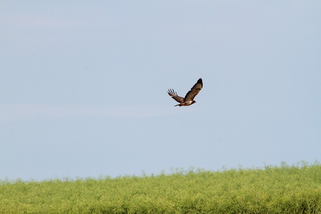 Foto do arquivo: fornecida por 【resultado da loteria federa de hoje】