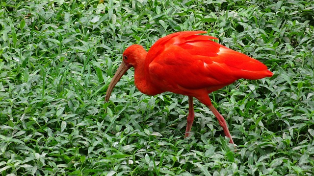 Foto do arquivo: fornecida por 【quanto ganha uma advogada criminalista】