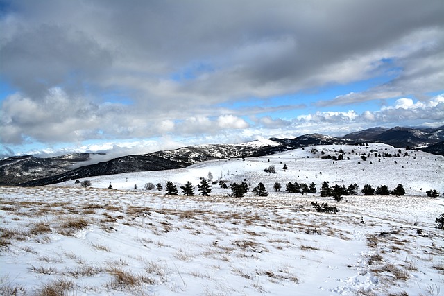 lucky creek casino