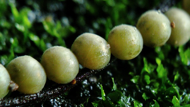 Plataforma com brinde no cadastro grátis