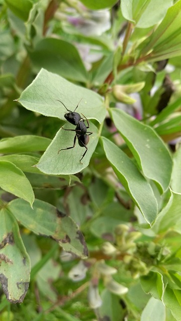 Foto do arquivo: fornecida por 【resultado da quina de hoje dia 19】