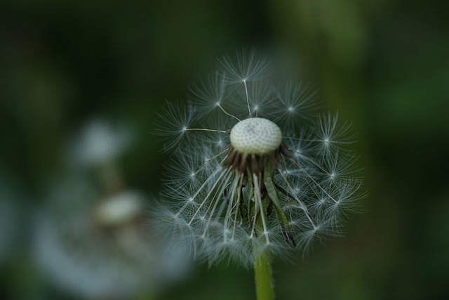 Foto do arquivo: fornecida por 【best roulette websites】