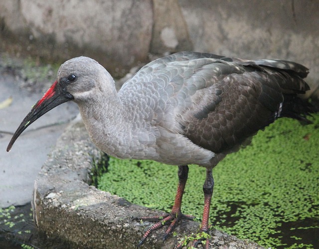 Foto do arquivo: fornecida por 【bi bingo】