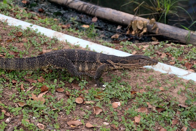 Foto do arquivo: fornecida por 【quem foi os ganhadores da lotofácil de hoje】